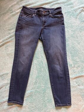 LOFT Dark Indigo Skinny Jeans